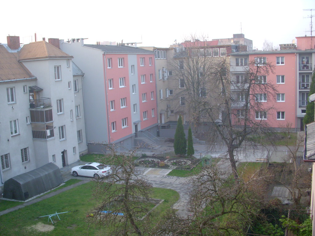 1+0 Závišova byt č.11, 14m2 - pohled z okna