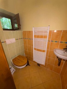 1np-wc-2-.jpeg